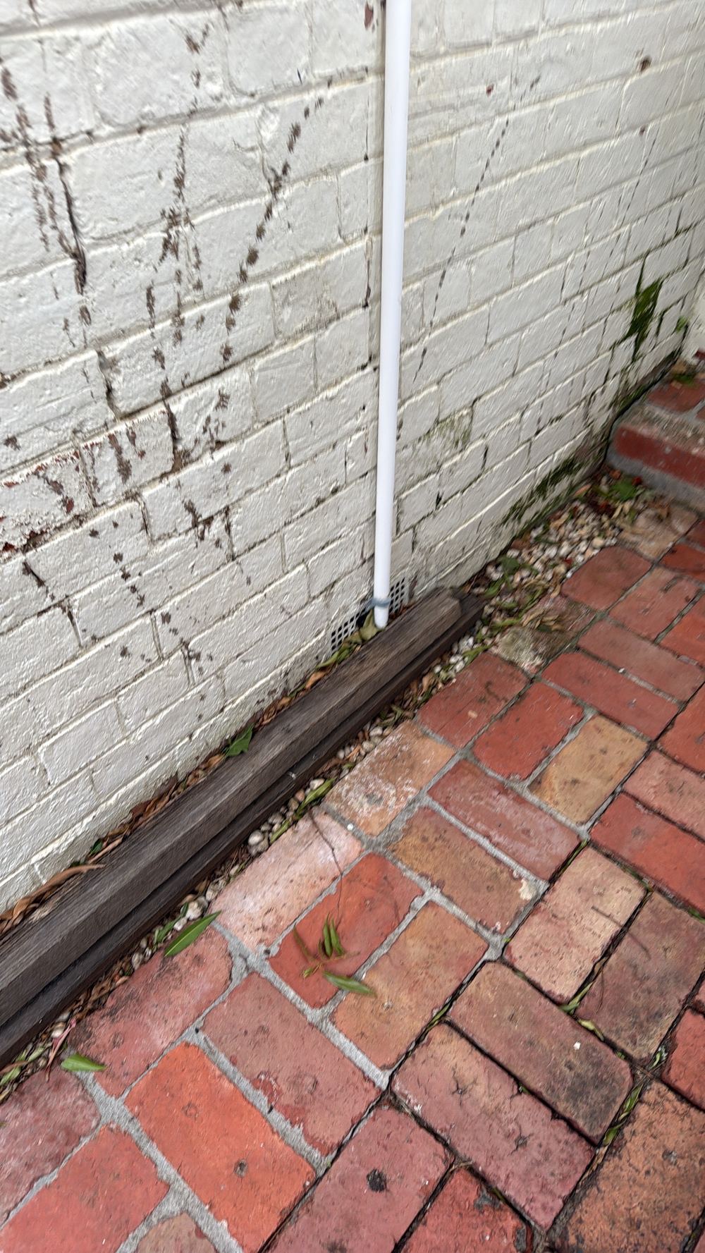 One of several conducive conditions recorded on the same home, found during a building and pest inspection in Hawthorn
