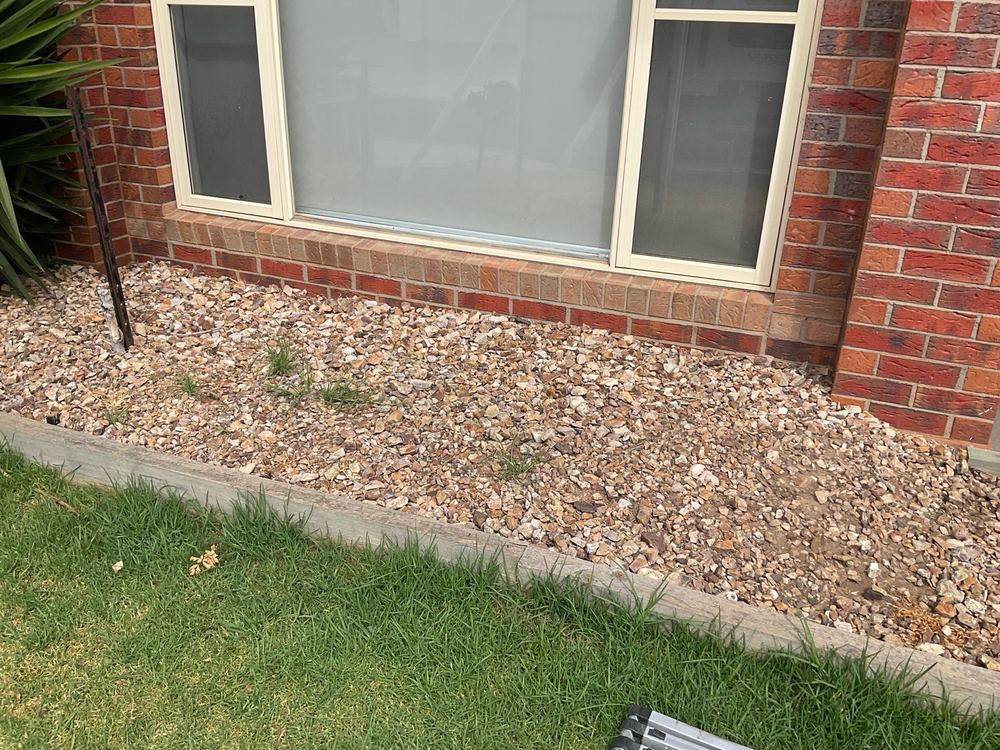Timber Pest Inspections in Strathtulloh