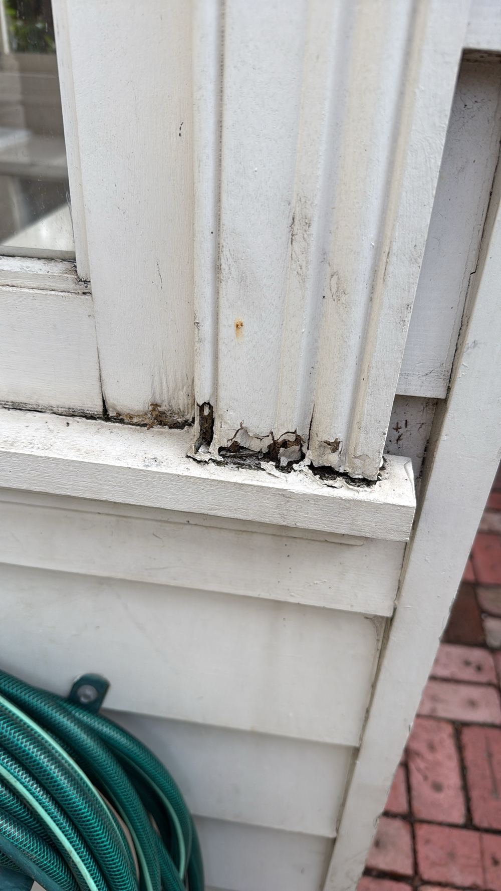 Building and Pest Inspections in Strathtulloh