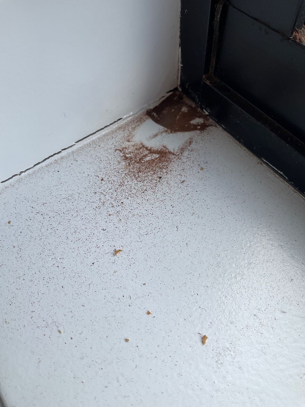 Water stains after handover: tracing leaks in Strathtulloh homes